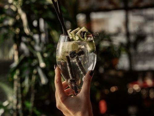 Preparación de cócteles con gin