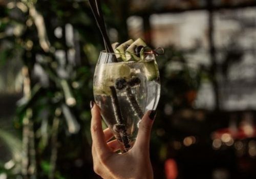 Preparación de cócteles con gin